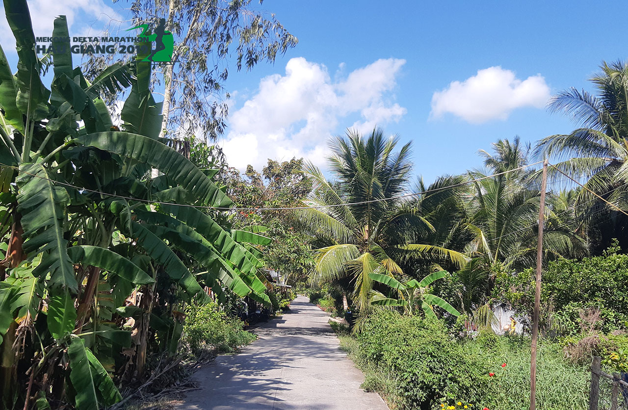 Ngỡ ngàng trước vẻ đẹp hoang sơ của đường chạy Mekong Delta Marathon 2019